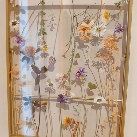 Vida 21 * Alba (Piedmont)